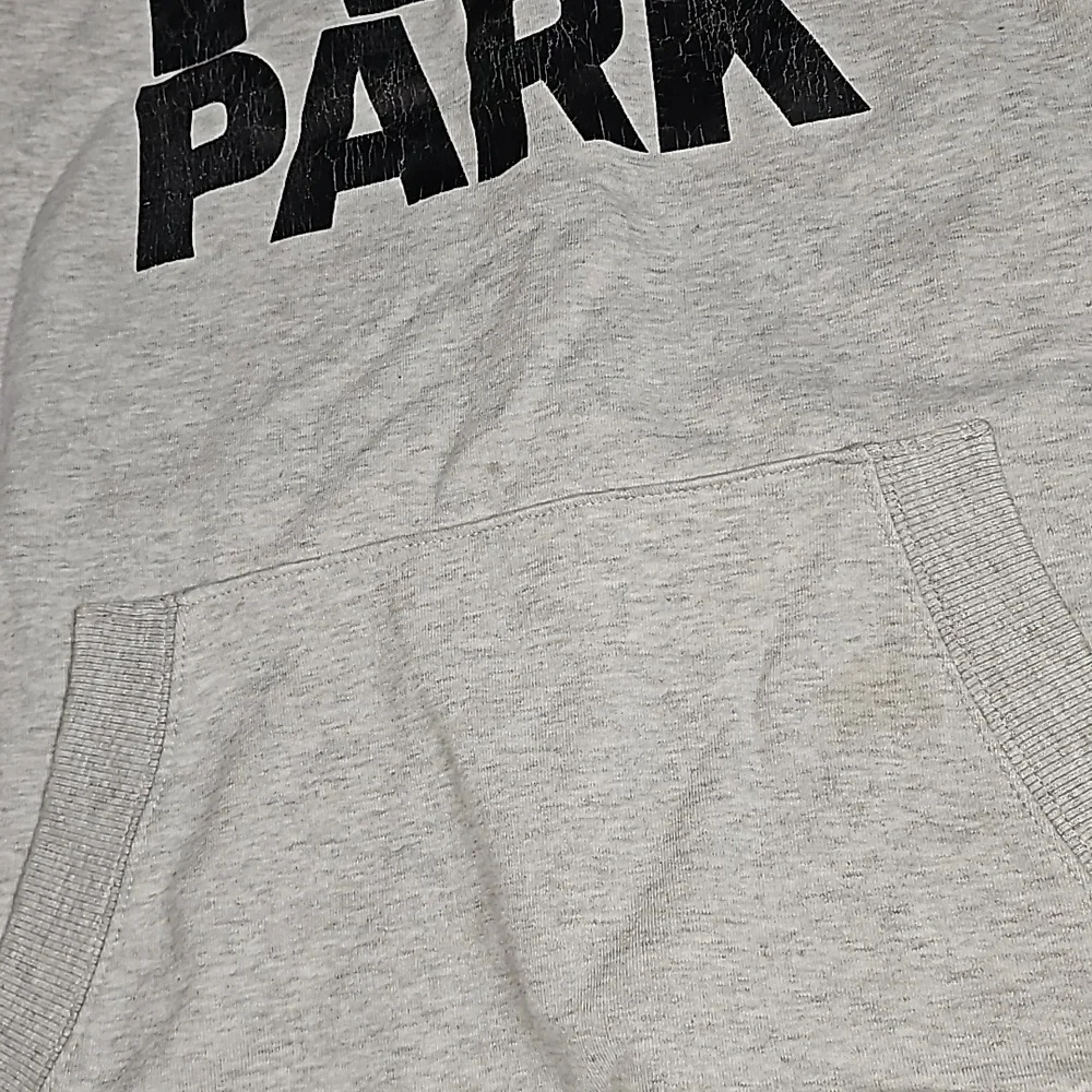IVY PARK Beyoncé Logo Hoodie Sweatshirt Oversized - Picture 3 of 6